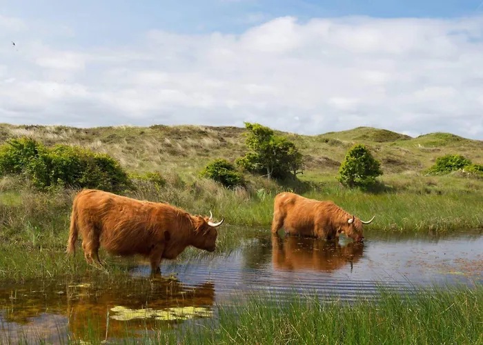 Westerduinen, De Bollekamer De Koog (Texel)